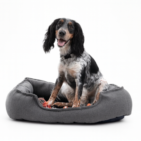 Orthopedic Bolster Dog Bed