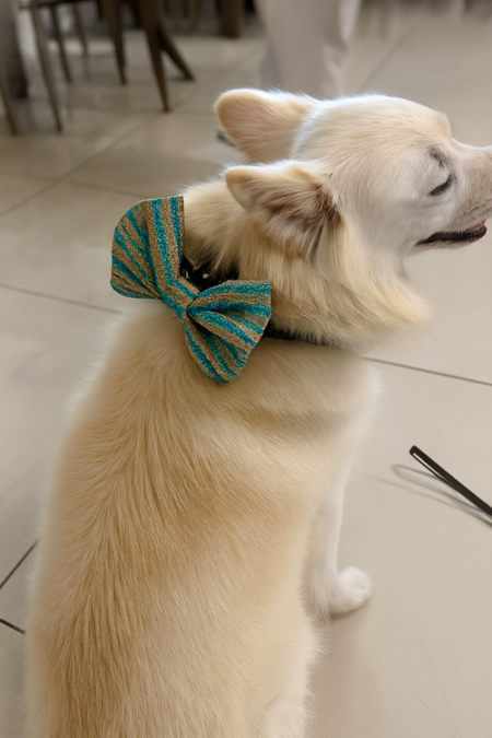 Stylish Glitter Pet Bow Tie